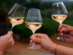 La producción de vino en México no es una de sus actividades representativas, pero es un hecho que la industria ha crecido. AFP / ARCHIVO