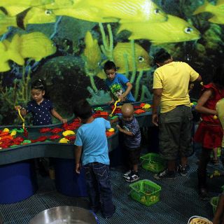 El Trompo Mágico celebra 13 aniversario y Día del Niño