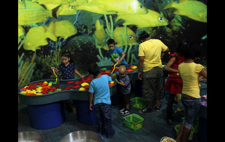 El objetivo primordial es que la oferta musística avance y que provoque más curiosidad en los visitantes. EL INFORMADOR / ARCHIVO