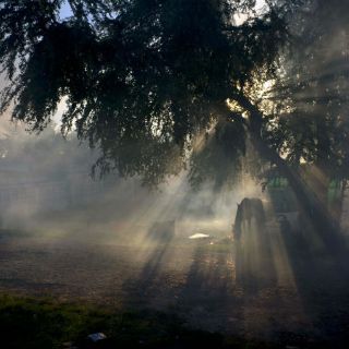 Decretan alerta sanitaria en Chile por presencia del virus zika