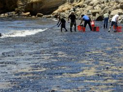 El ruido en los mares se ha ocasionado por la actividad pertrolera y los plásticos. EFE / ARCHIVO