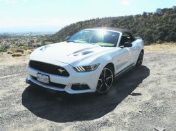 Diseño. Atrevido, es la palabra perfecta para definir a este potro. EL INFORMADOR / C. Cerda