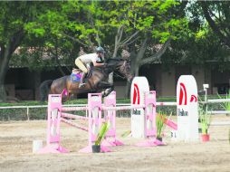 Guadalajara Jockey Club. Juan Manuel Luzardo monta a “Stakkero” durante la prueba libre a 1.30 metros realizada ayer. EL INFORMADOR / P. Franco