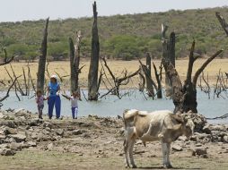 La Comisión Nacional del Agua declara con sequías severas los municipios de Arriaga, Tonalá, Pijijiapan y Las Margaritas. EL INFORMADOR / ARCHIVO