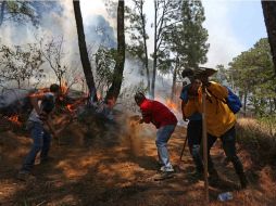 Brigadistas ayudaron a calmar el incendió que consumió 250 hectáreas. SUN / ARCHIVO