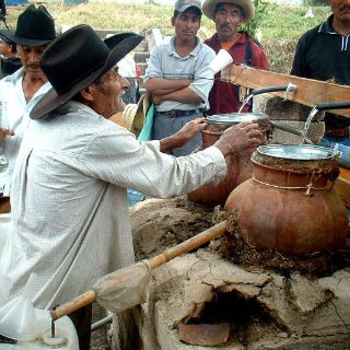 Piden a SE no cambiar el nombre de mezcal por komil