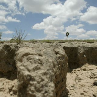 Universidad de Tamaulipas busca recuperar suelos agrícolas