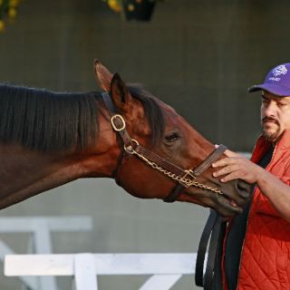Nyquist, favorito para ganar el Derby de Kentucky