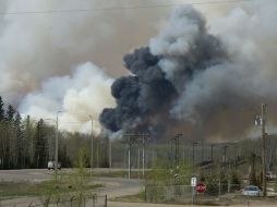 Temperaturas más altas de lo habitual y las condiciones secas han transformado el bosque en un barril de pólvora. EFE / C. Schwarz