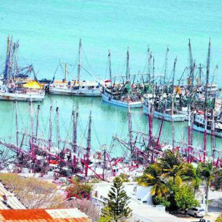 Abrirán a la pesca zona de Campeche