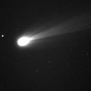 Polémica por el cometa Halley durante lluvia de estrellas