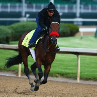Otro mexicano arranca como favorito en el Derby de Kentucky
