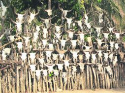 No somos dueños de nada. Nada nos vamos a llevar. EL INFORMADOR / P. Fernández Somellera