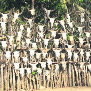 La Tierra no pertenece a los hombres