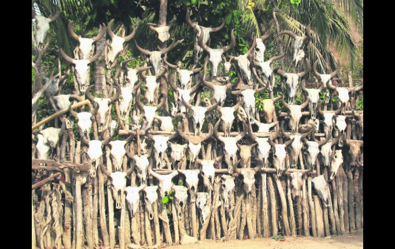 No somos dueños de nada. Nada nos vamos a llevar. EL INFORMADOR / P. Fernández Somellera