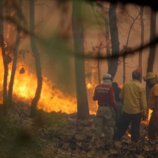 En papel, videovigilancia en La Primavera
