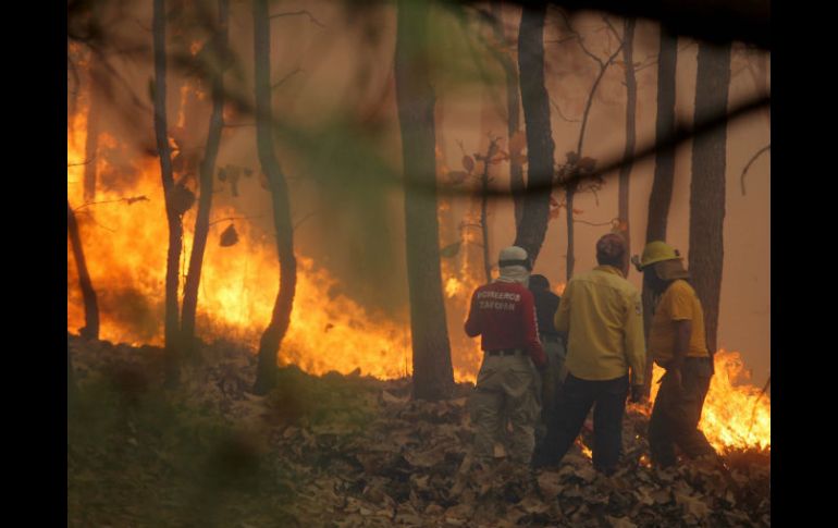 Con las cámaras se prometía disminuir los incendios al detectar a quienes iniciaran quemas. EL INFORMADOR / ARCHIVO