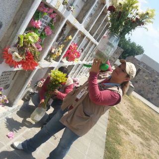 Zapopan combate a mosco 'Aedes Aegypti' en cementerios