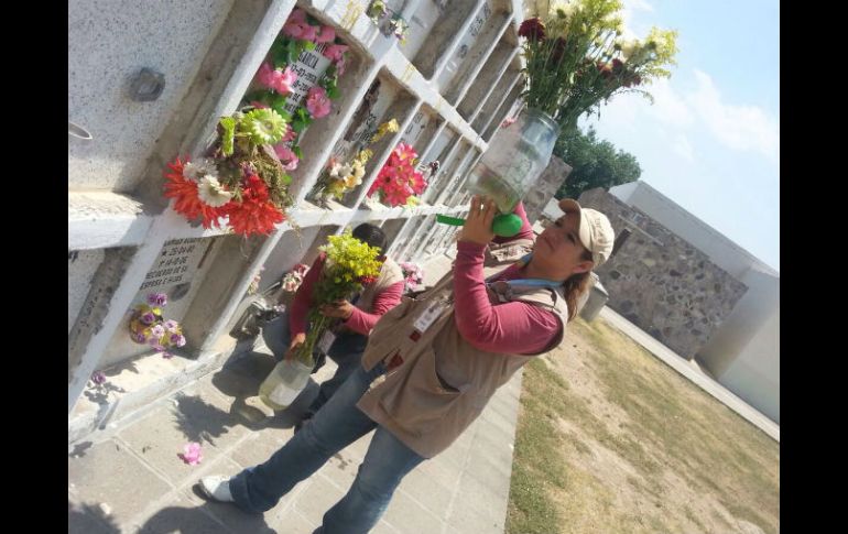 De octubre a la fecha, se ha trabajado de manera coordinada en las labores preventivas para inhibir brotes de virus. EL INFORMADOR / ESPECIAL