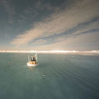 Hielo polar en verano podría desaparecer en 15 años