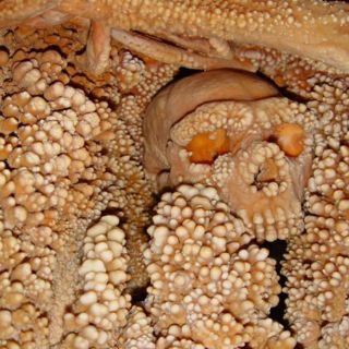 Reconstruyen el aspecto de un Neandertal de hace 150 mil años