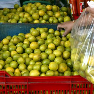 Productores prevén precio de limón menor a 20 pesos