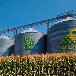 Títulos de Gruma seguirán apreciándose: analistas