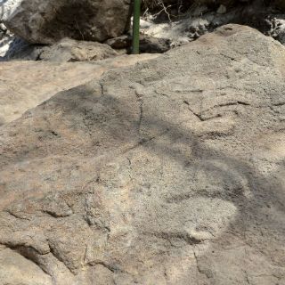 Descubren bajorrelieve de más de dos mil 500 años en Morelos