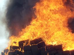 Se incineraron siete kilos 833 gramos de mariguana. NTX / ARCHIVO