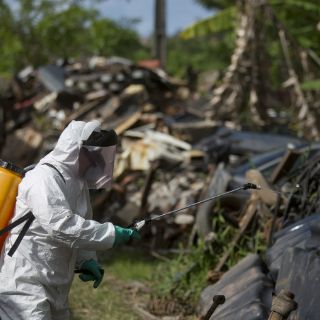 Personal, decisión de ir a Río 2016 a pesar de zika: OMS