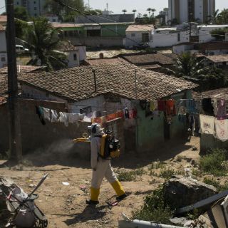 Descartan cancelación de Juegos Olímpicos por virus zika