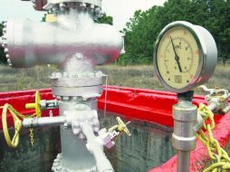 Algunos aseguran que se puede proteger a La Primavera durante la extracción de energía; otros que dejaría más daños que beneficios. EL INFORMADOR / ARCHIVO