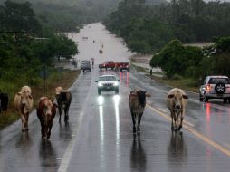 La temporada de huracanes implica que se deben tomar medidas para minimizar la pérdidas humanas y reducir daños materiales. EL INFORMADOR / ARCHIVO