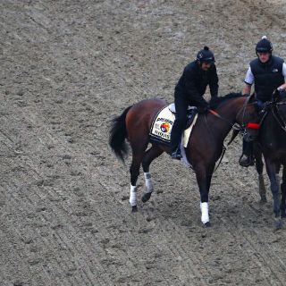 Nyquist partirá tercero y como favorito del Preakness