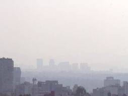 Hasta hace unas horas, el punto más alto era la delegación Benito Juárez con 126 puntos. NTX / ARCHIVO