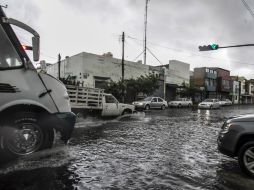 Las ramas de un arbol fueron derribadas por los vientos y varios vehículos se quedaron atorados. EL INFORMADOR / ARCHIVO