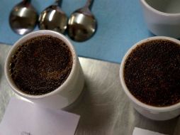 El desarrollo es muy bueno, ya que no hay gran diferencia con el café tradicional, pues la consistencia y el olor son muy parecidos. NTX / ARCHIVO