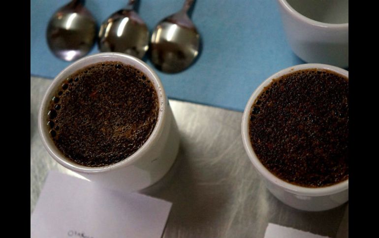 El desarrollo es muy bueno, ya que no hay gran diferencia con el café tradicional, pues la consistencia y el olor son muy parecidos. NTX / ARCHIVO