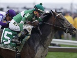 Exaggerator logró esta vez realizar una carrera casi a la perfección, con un gran estallido sobre la recta final para cruzar la meta. AP / G. Jones