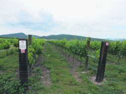 Hoy domingo y el próximo fin de semana puedes planear tu estancia en este Pueblo Mágico. NTX /