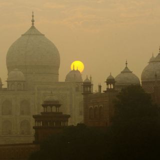 Insectos amenazan al Taj Mahal