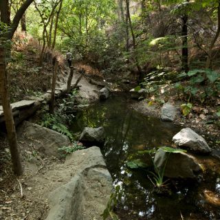 Dan a conocer lista de especies descubiertas en 2015