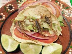 Aunque no saben de dónde nació la idea del taco de alacrán, lo cierto es que lo han acogido como parte de su gastronomía. EL INFORMADOR / ARCHIVO