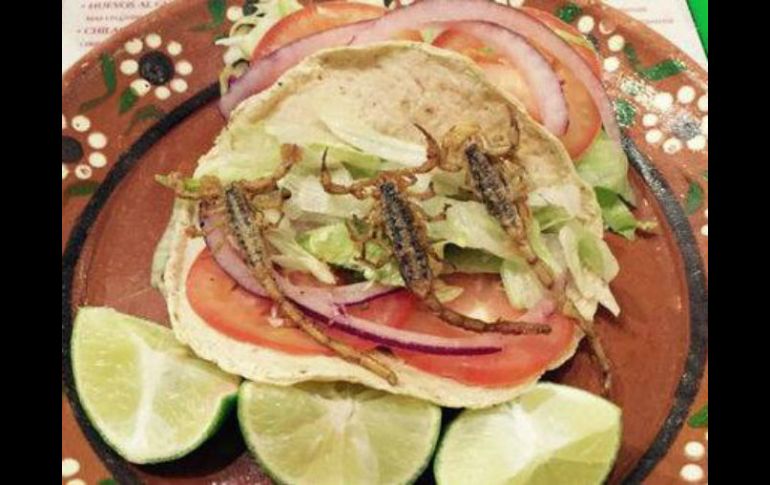Aunque no saben de dónde nació la idea del taco de alacrán, lo cierto es que lo han acogido como parte de su gastronomía. EL INFORMADOR / ARCHIVO