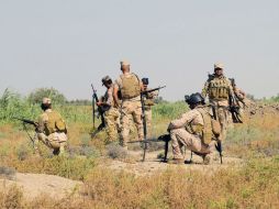 El Ejército anunció el comienzo de una ofensiva para liberar a Faluya del control de los terroristas. EFE / N. Aamer