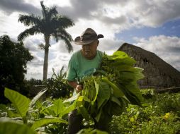 Las reformas económicas se producen para la recuperación de la producción y los servicios y la modernización del país. AP / ARCHIVO