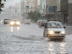 Elementos de protección civil retiraron los árboles, lo que permitió restablecer la circulación. EL INFORMADOR / ARCHIVO