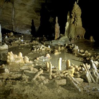 Primeros Neandertales ya exploraban el subsuelo y controlaban el fuego