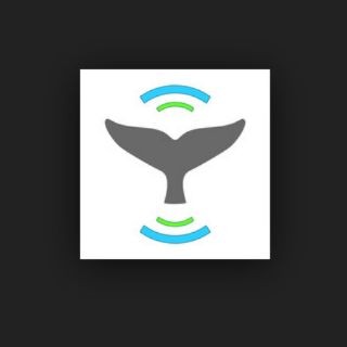 'App' protege ballenas de choques en época de avistamientos