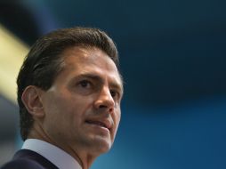 Peña Nieto viajará a Argentina para entrevistarse con Macri el 29 de julio. AFP / ARCHIVO